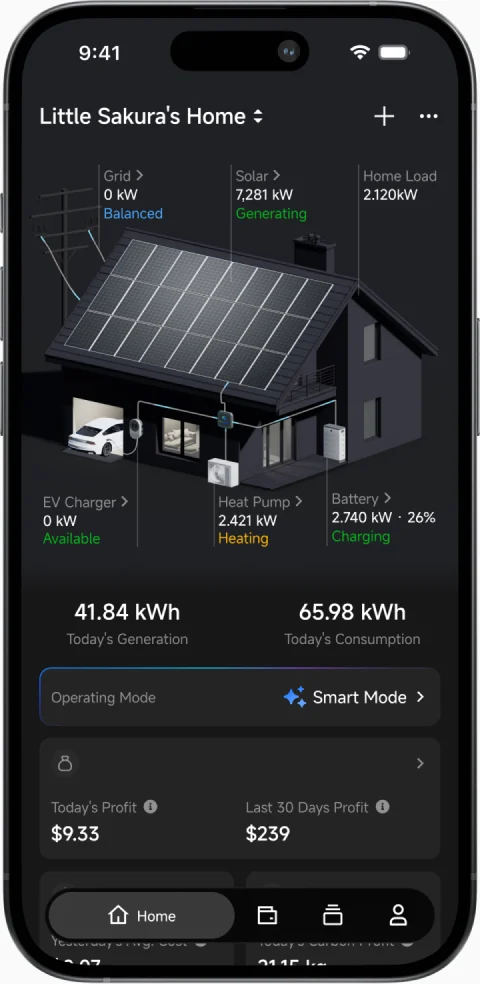 Whole-home energy overview screen